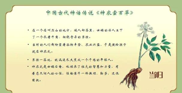 神农故事主要内容30字缩略图