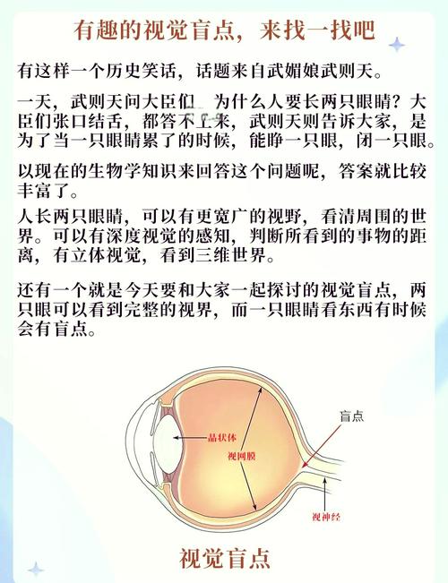 眼睛能看到游走的光点截图
