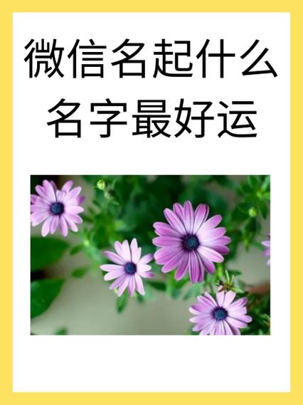 男人一生好运微信名截图