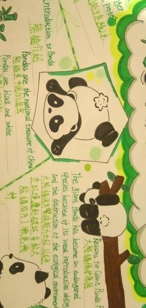 拯救熊猫宝宝游戏