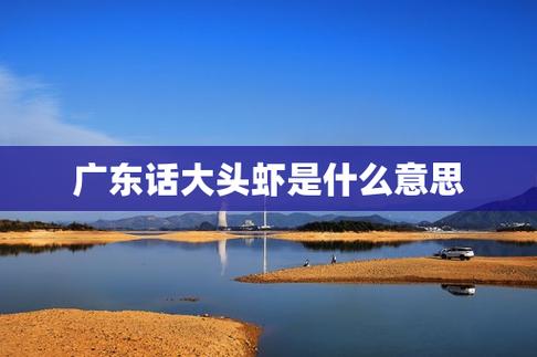 广东话大头虾是什么意思缩略图