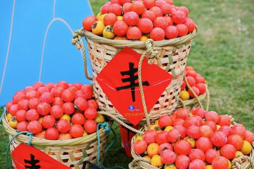 水果大丰收红包版下载缩略图