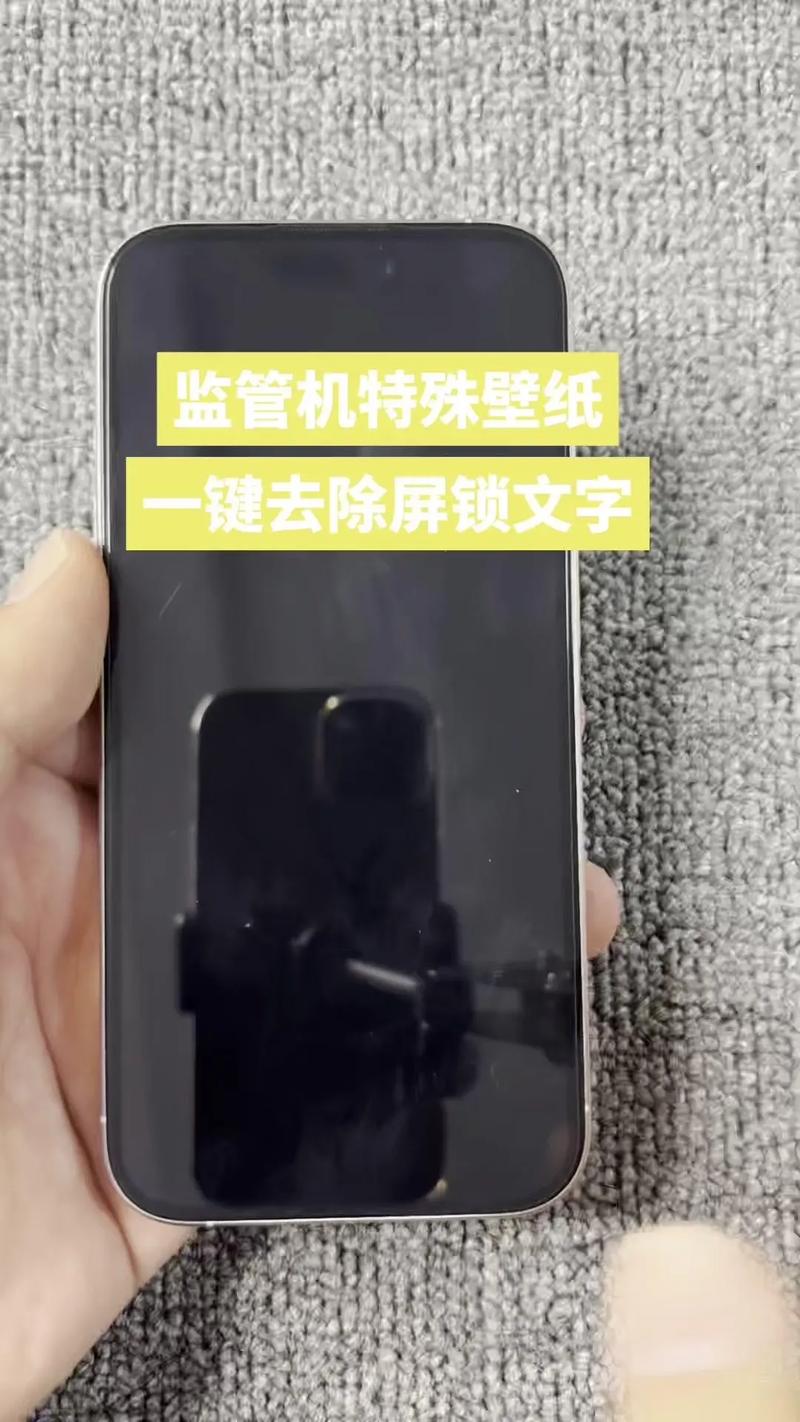 东东专用解手机监管锁软件截图