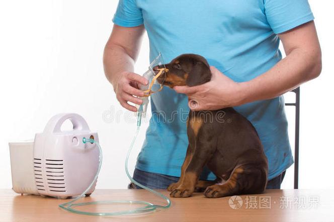 说话的时候可以用鼻子呼吸吗截图