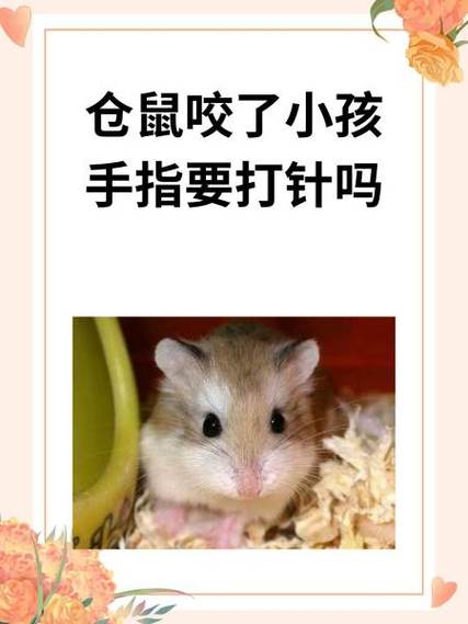 仓鼠狂犬病征兆图标