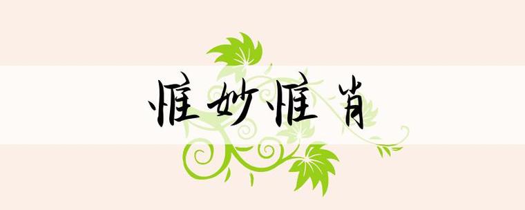 成语惟妙惟肖图标