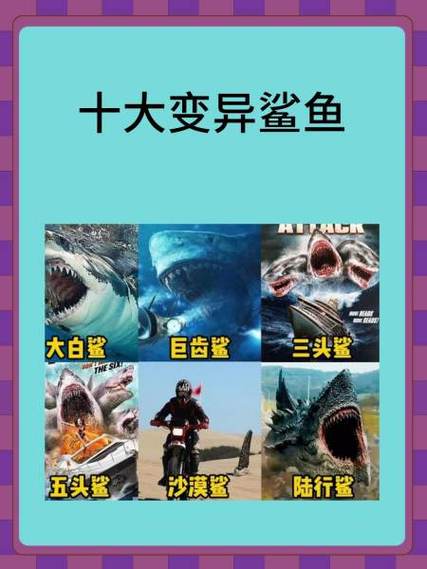 鲨鱼硬弟最新视频合集缩略图