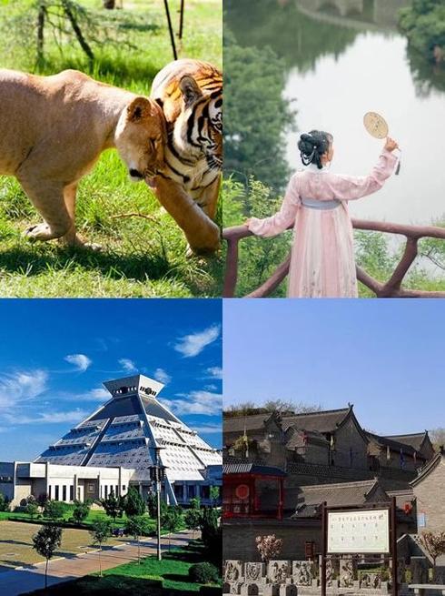 郑州出现不明飞行物是真的吗截图