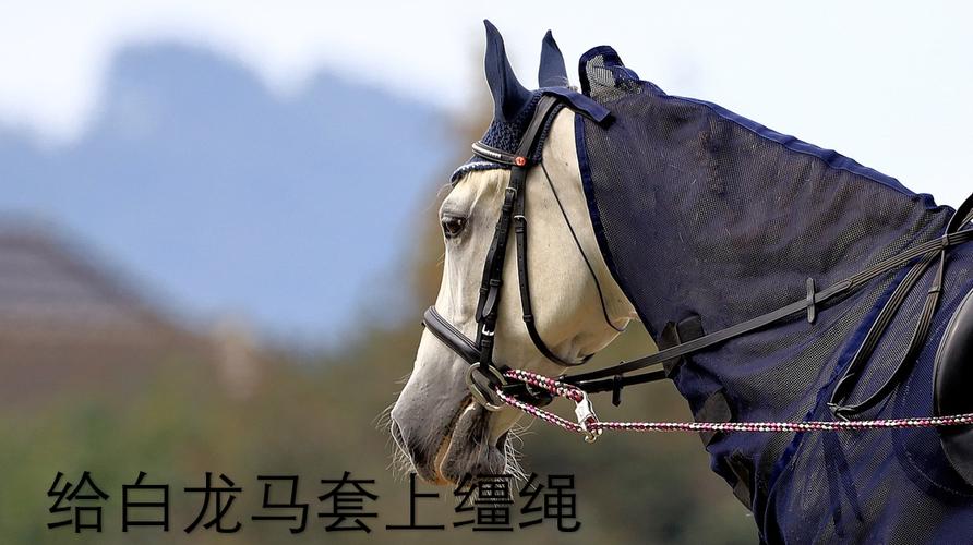 绳子做马套缩略图
