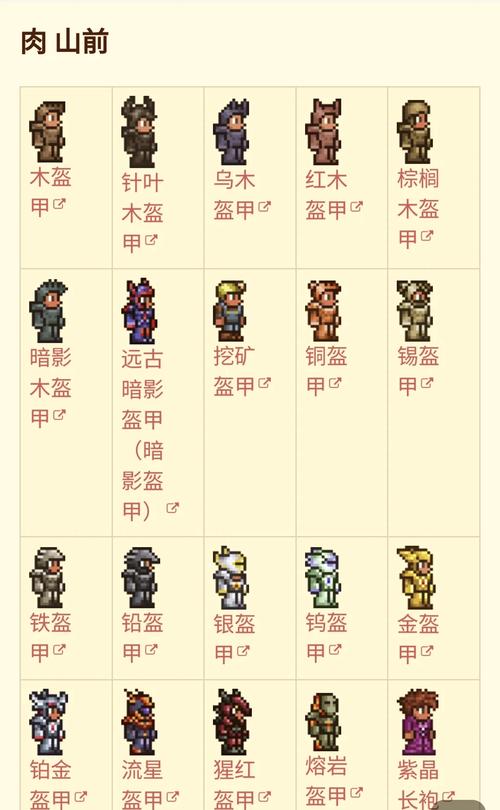 泰拉瑞亚 召唤师装备