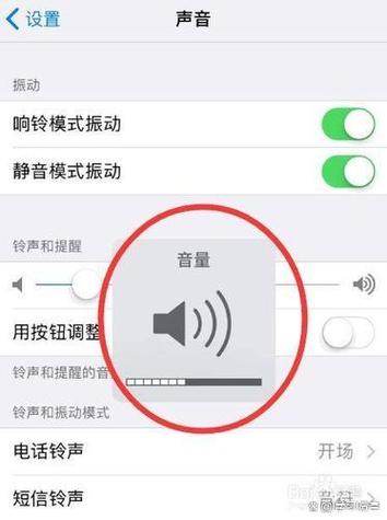 苹果手机怎么调节语音音量缩略图