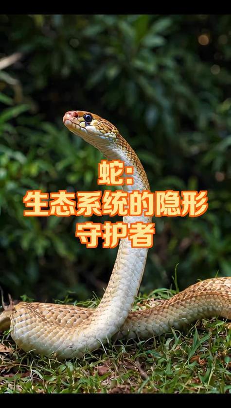 重装系统对电脑有损害吗截图