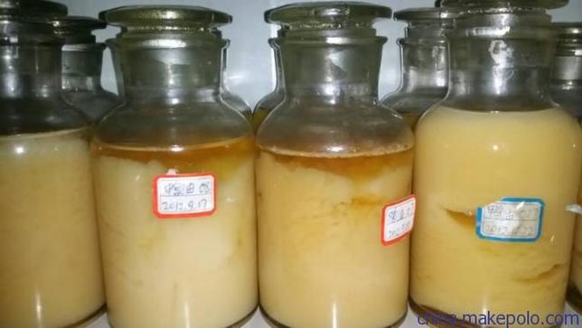 鲸油是鲸鱼头里面的吗截图