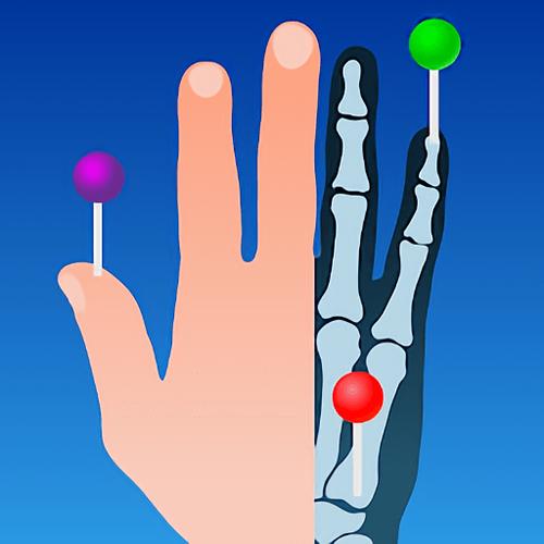 e-anatomy中文免费版下载地址缩略图