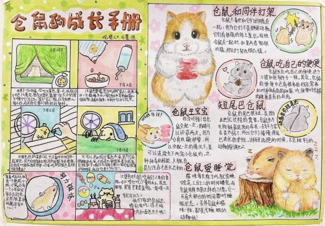 仓鼠怀孕10天图片缩略图
