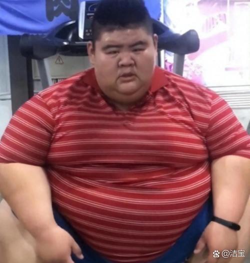 《逆袭的胖子》免费观看