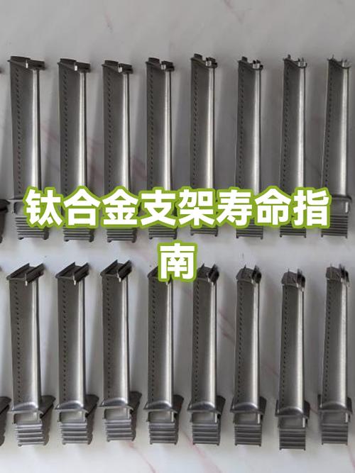 支架的寿命一般是多长缩略图