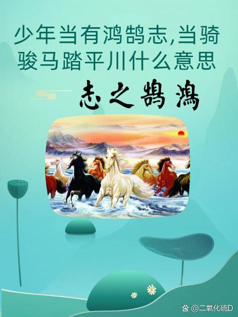 独一无二的骏马图片