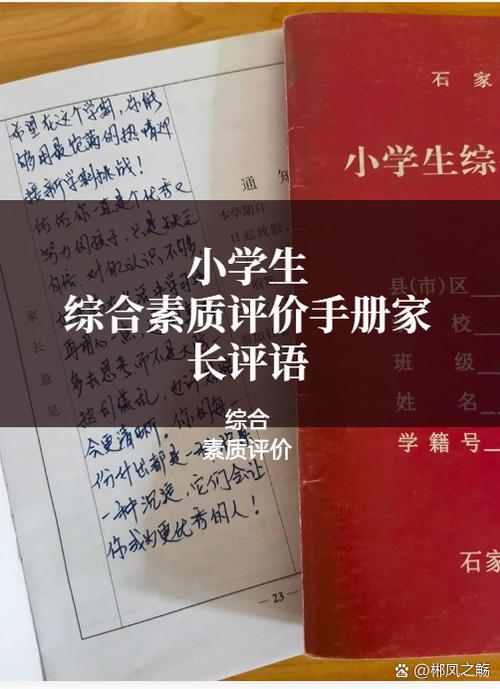 宁夏综合素质评价登录入口家长端
