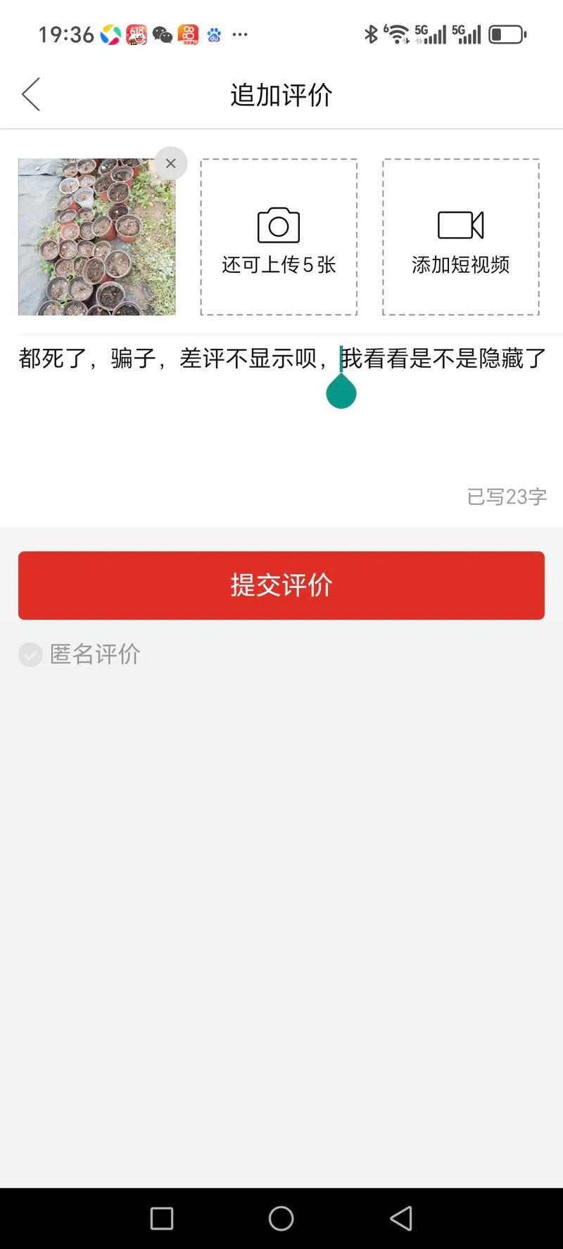 拼多多上差评不显示吗截图