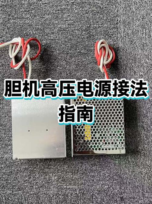 胆机寿命一般多少年