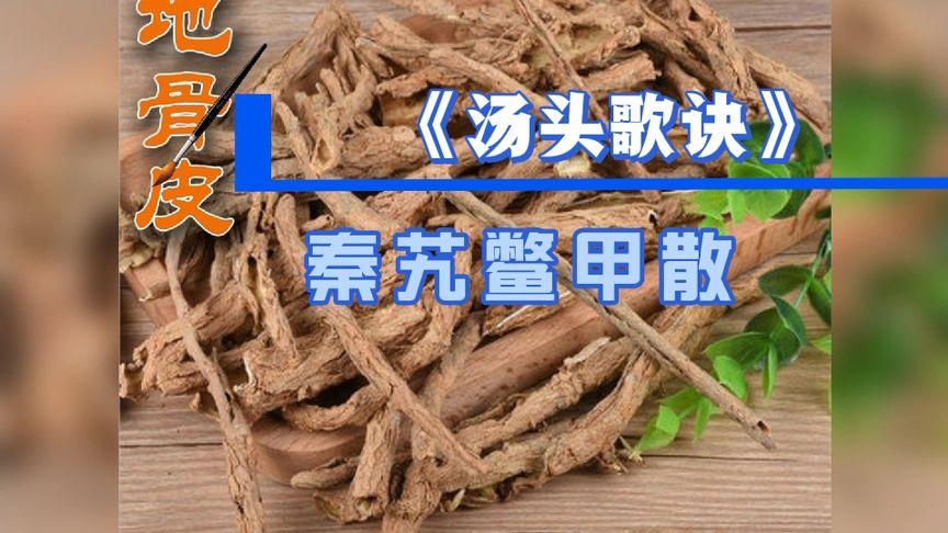 汤头条的分类分类清晰