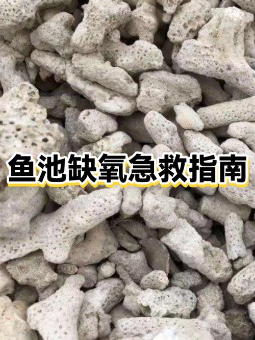 鱼池缺氧最简单的方法缩略图
