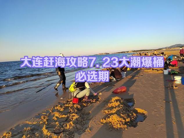 赶海大潮和小潮的区别