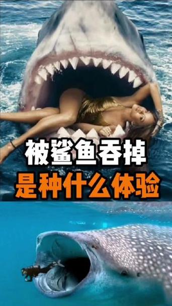鲨鱼能吃吗图标