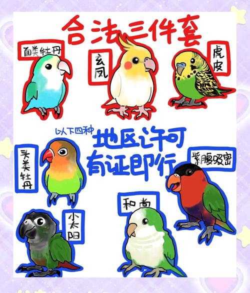 驯服乌龟的步骤截图