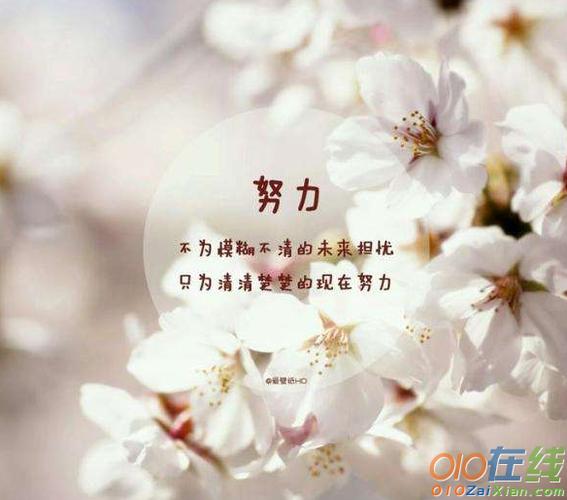 感悟人生感悟生活感悟自己游戏截图