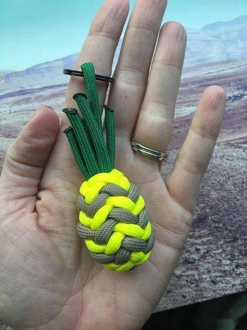 一根绳玩的球是什么啊