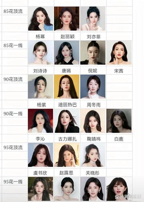 娱乐圈新人名单