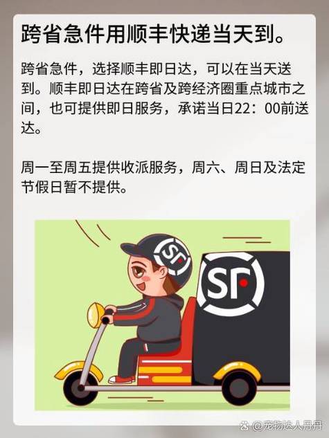 顺丰加急件跨省多久到图标