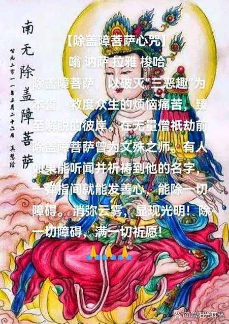 说中文翻译英文的软件缩略图