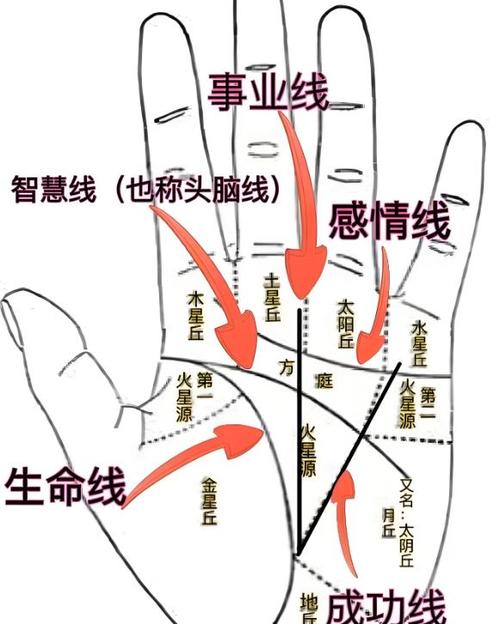 手掌十字纹多代表什么截图