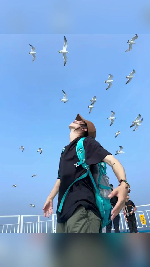 海鸥聊天人工客服图标