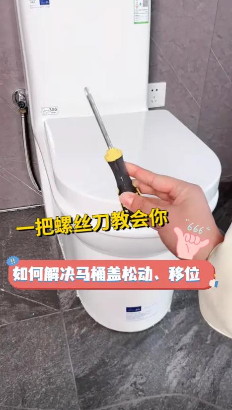 马桶盖螺栓坏了怎么更换图解游戏截图