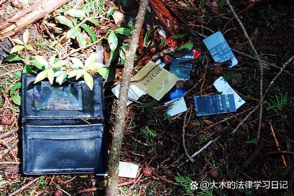 《我的世界》苍白森林指令缩略图