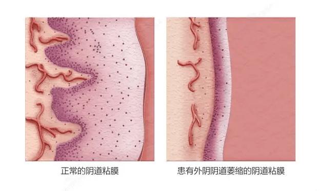 realme怎么看私密相册截图