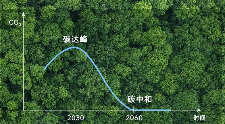 碳中和截图