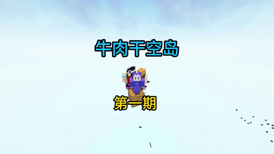 佳楠四人幸运空岛生存截图