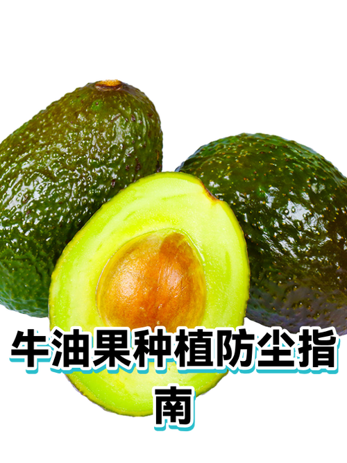 牛油果禁忌截图