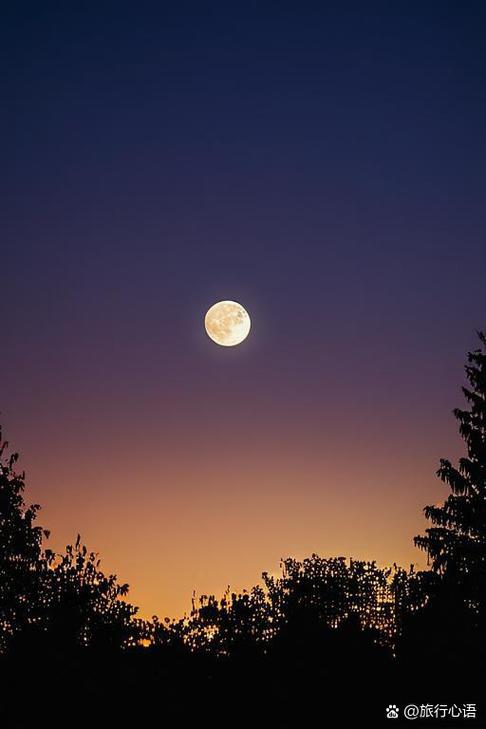 设置夜间模式截图