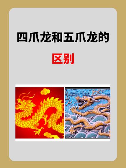 四爪龙和五爪龙的区别
