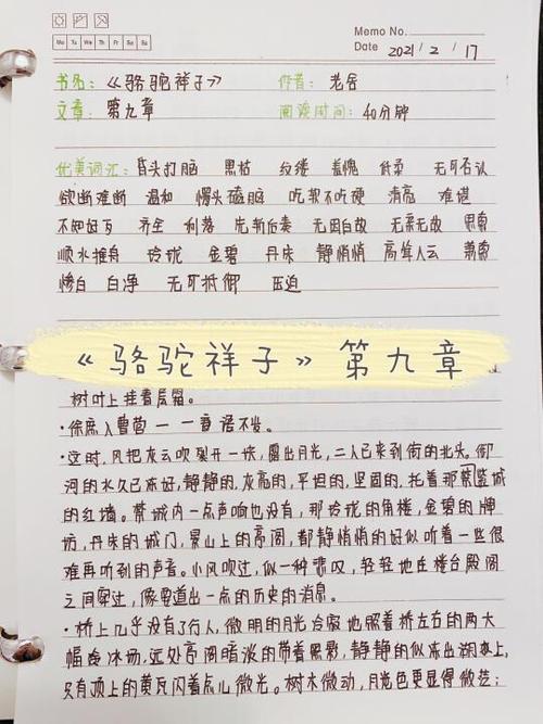 骆驼祥子读书笔记摘抄截图
