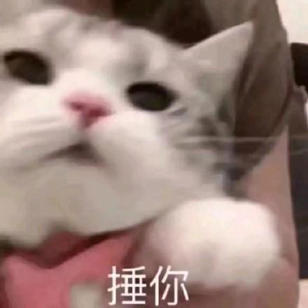 我想捶你表情包缩略图