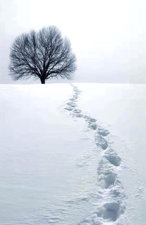 下雪图片真实截图