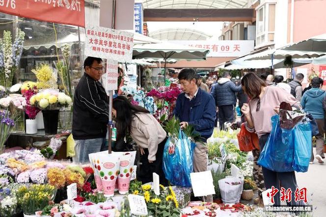 上海花鸟市场批发市场