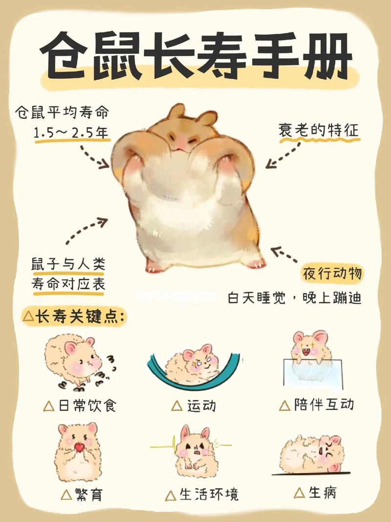 养仓鼠赚钱吗图标